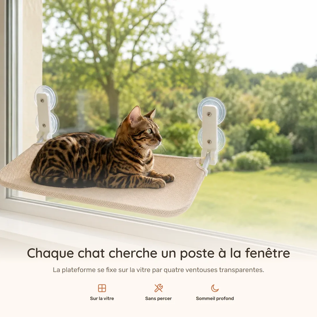 Chaque chat cherche un poste à la fenêtre — la plateforme en maille beige fixée sur la vitre par quatre ventouses transparentes, un chat bengal couché dessus